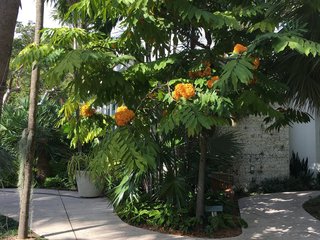 Miami Beach Botanical Garden景点图片