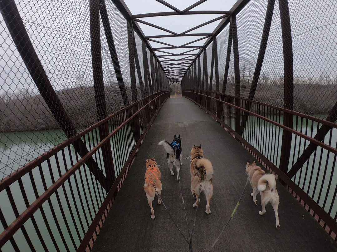 The Welland Canals Parkways Trail-科尔本港必去景点