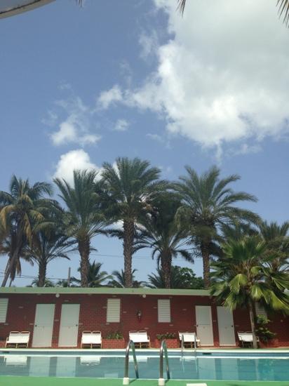 La Plaza at Brandemar Hotel-泳池