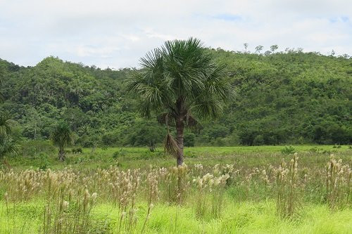 Serra Dos Parecis-Guajara-Mirim必去景点