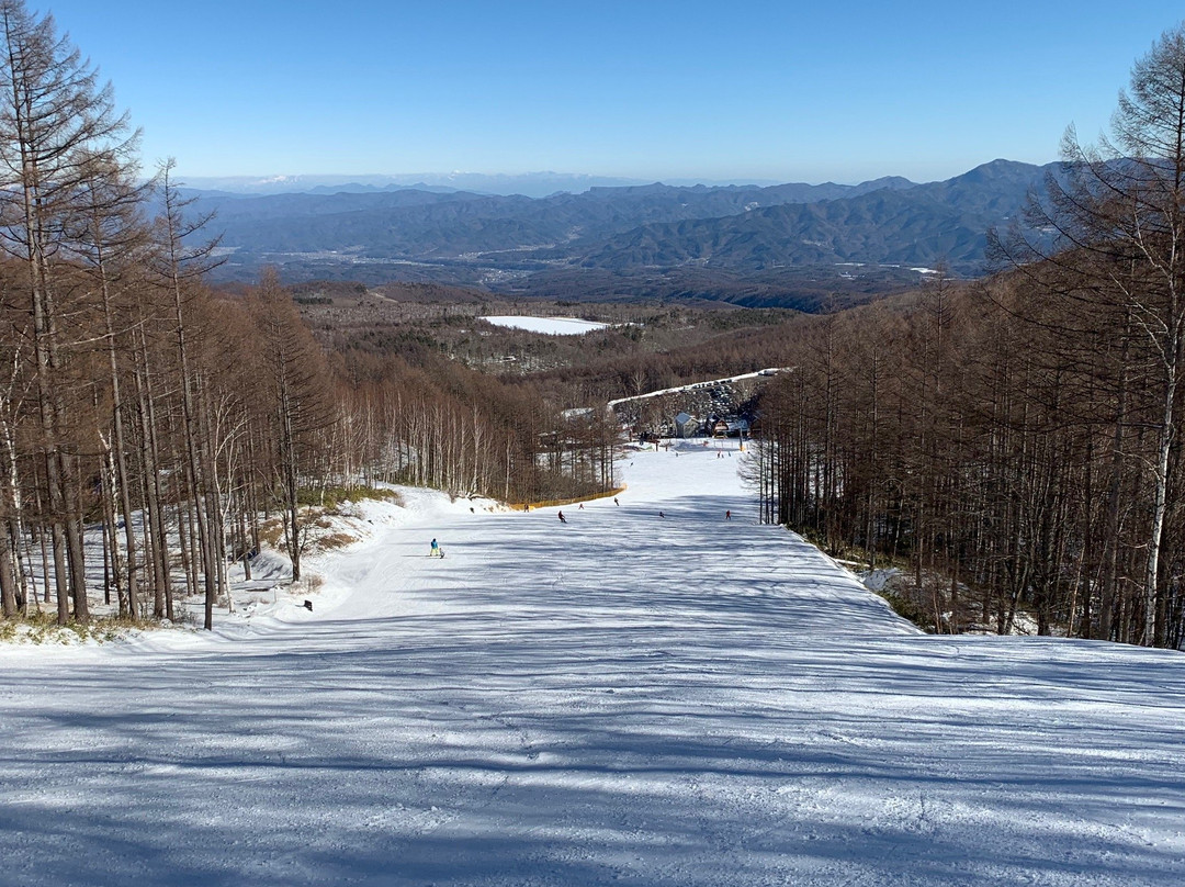 Yachiho Kogen Ski Resort-佐久穗町必去景点
