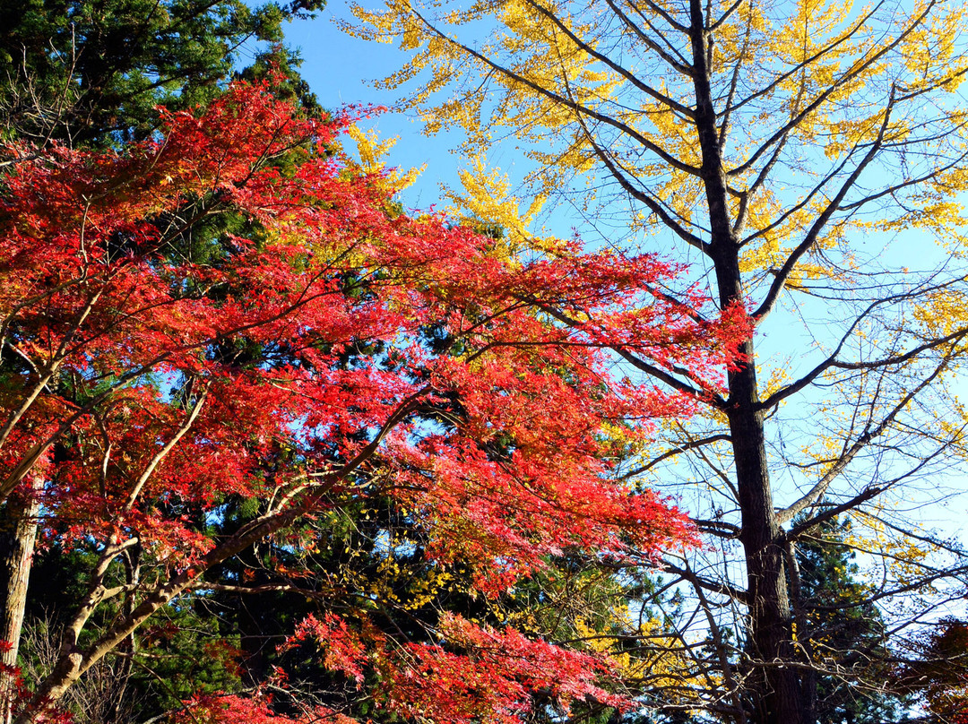 Daitoin Temple-森町必去景点