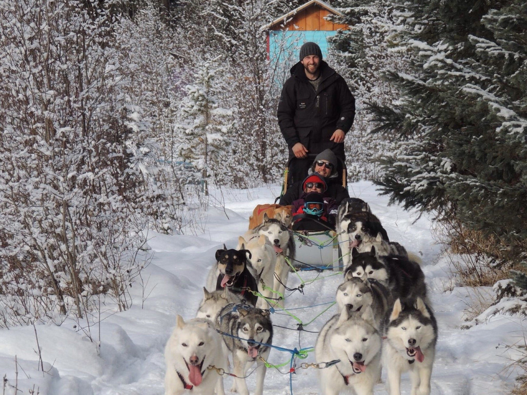Golden Dog Sled Adventures-戈尔登必去景点