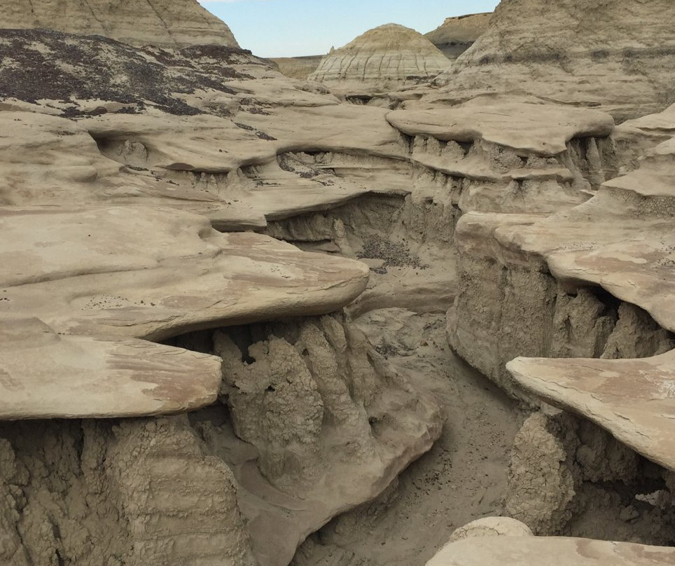Bisti/De-Na-Zin Wilderness-Bloomfield必去景点
