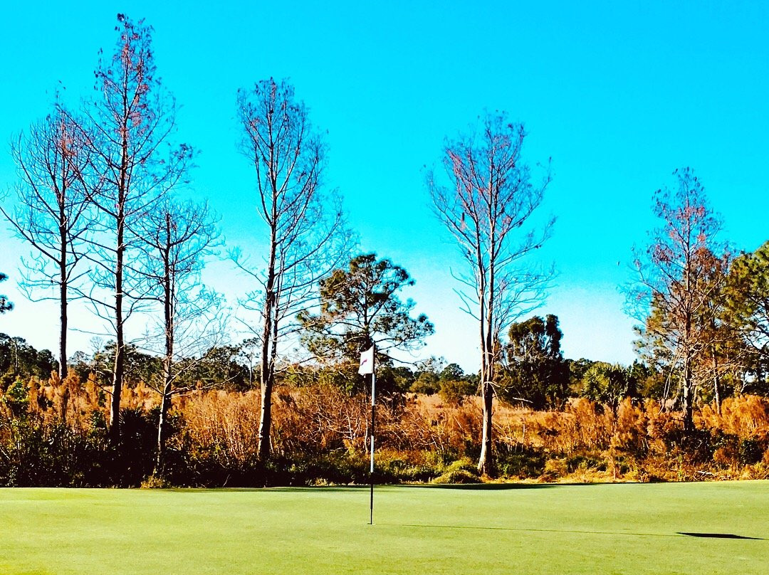 Myakka Pines Golf Club-恩格尔伍德必去景点