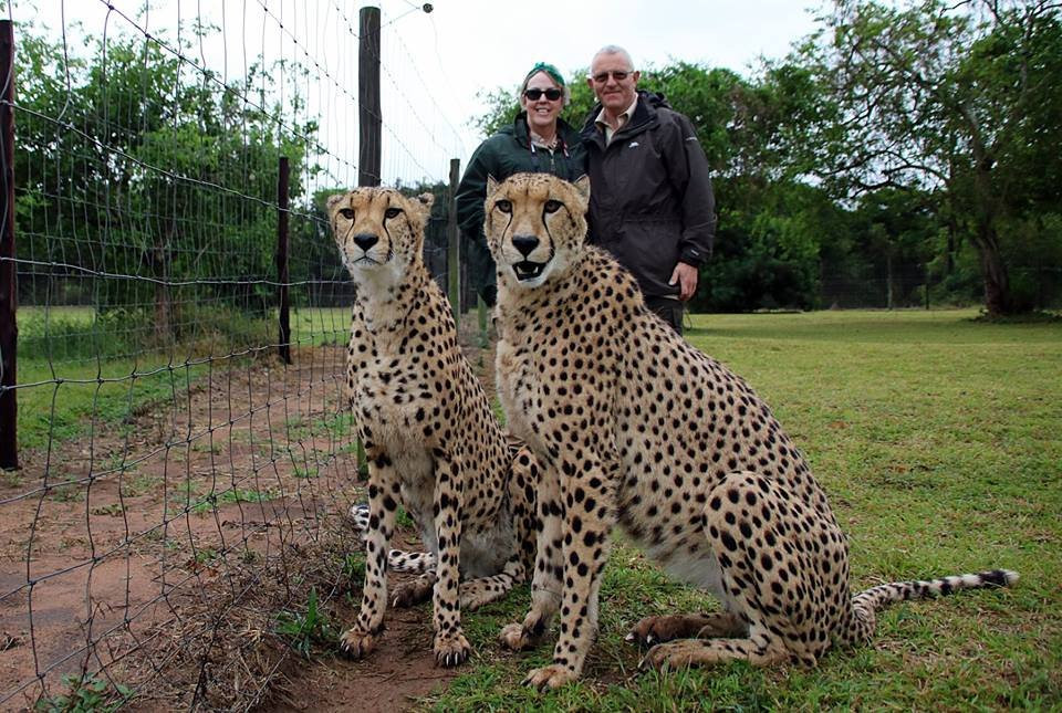 Wild at Heart Tours and Safaris (Pty) ltd.-保罗彼得斯堡必去景点