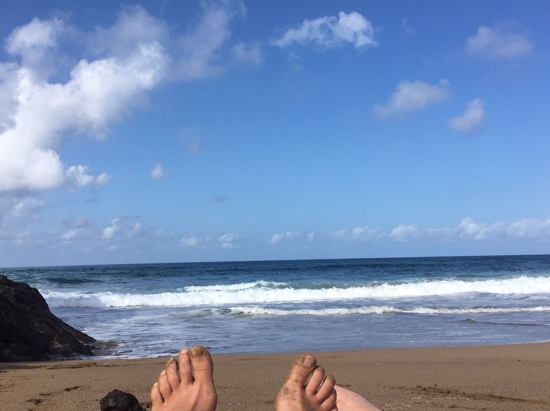 Playa Dos Roques景点图片