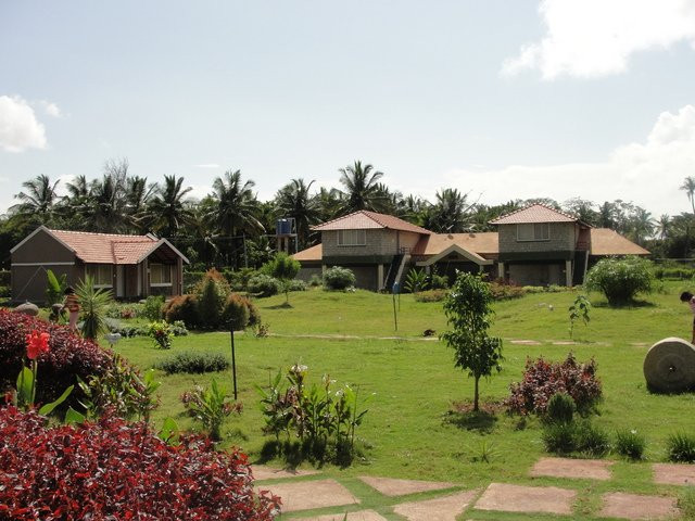 Stay Simple Riverdale主图