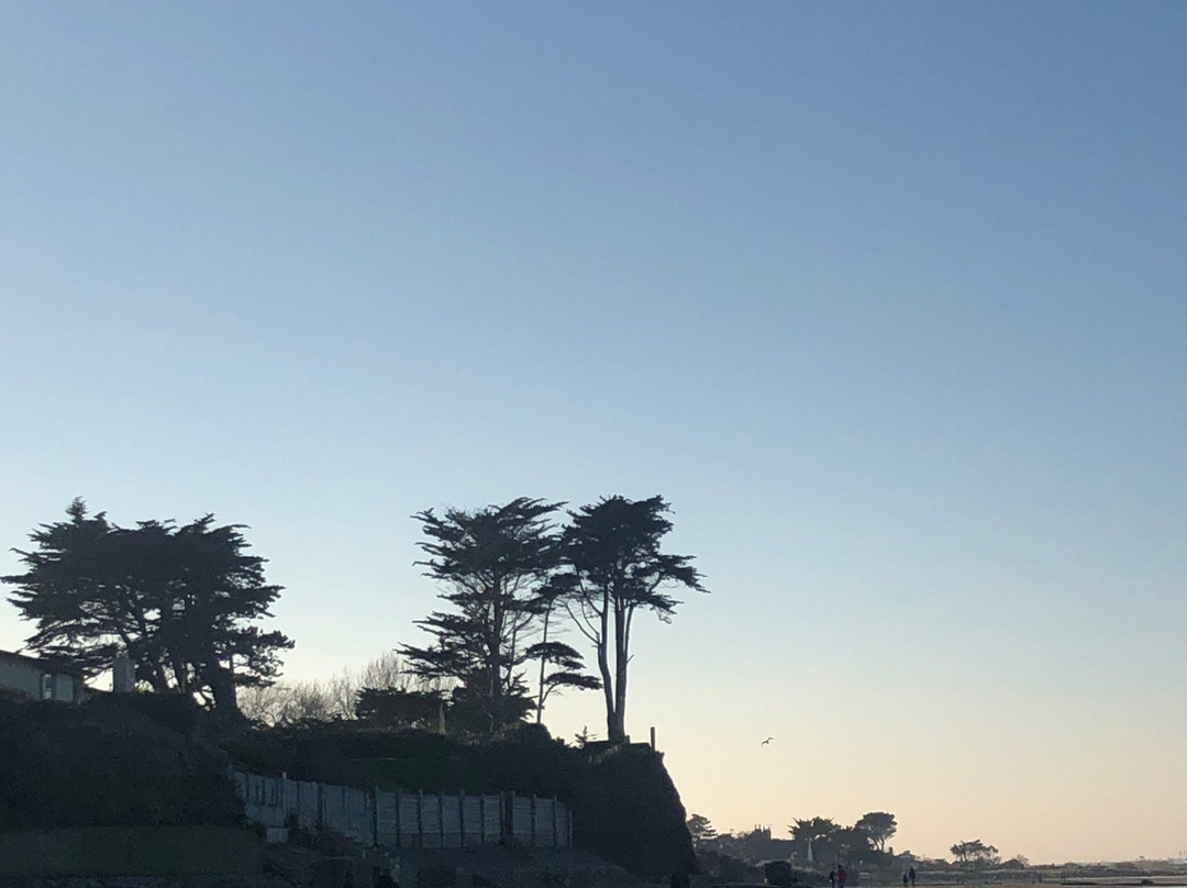 Burrow Beach-Sutton必去景点