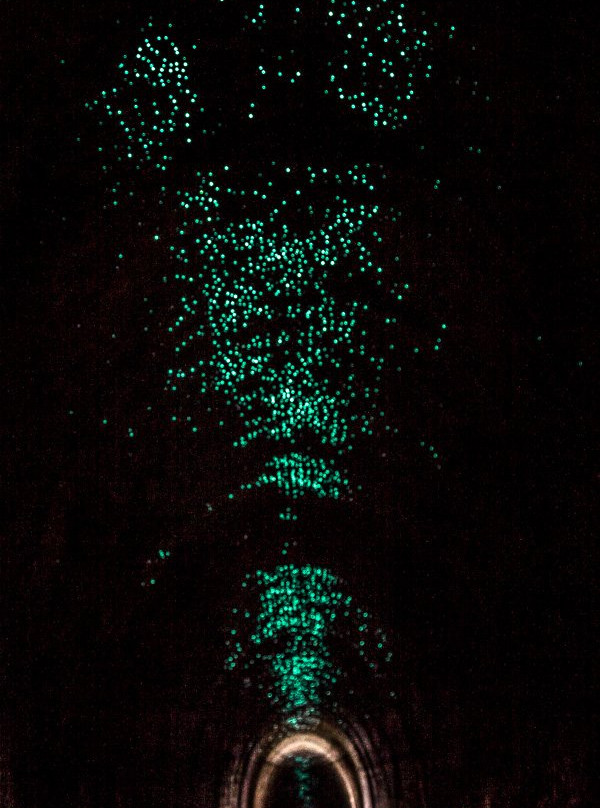 Old Helensburgh Station-海伦斯堡必去景点