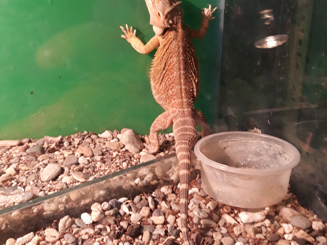 Aquarium景点图片