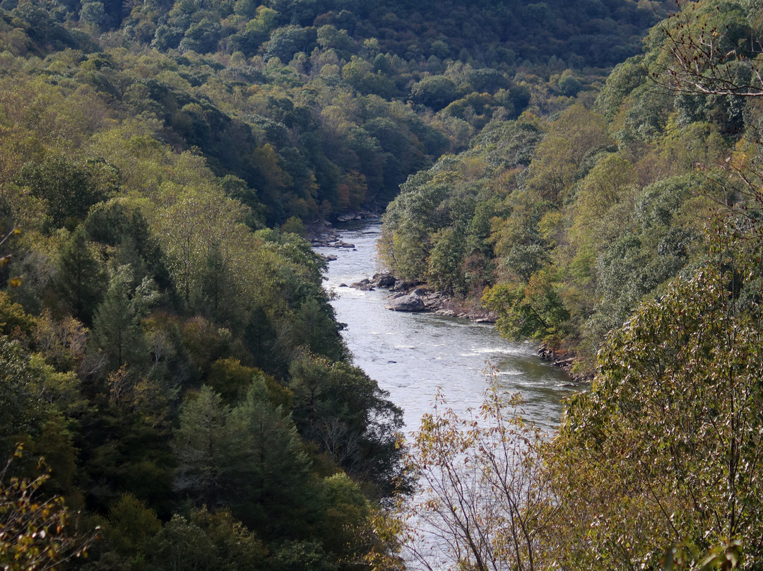 Bear Run Nature Reserve-Mill Run必去景点