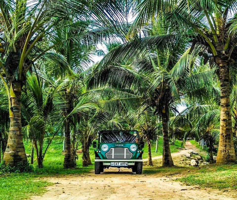 Sri lanka By Moke景点图片