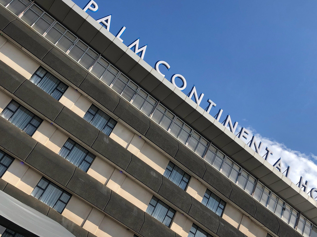 Palm Continental Hotel - Johannesburg主图