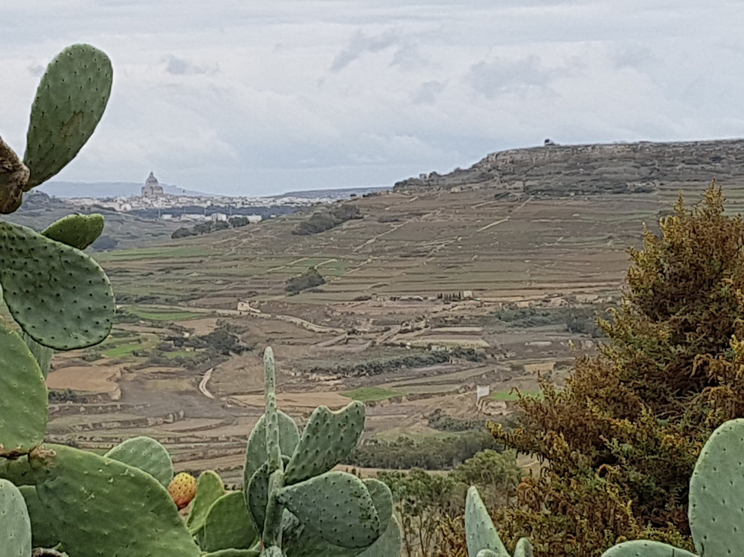 IC-Cens Ta' Kola B&B主图