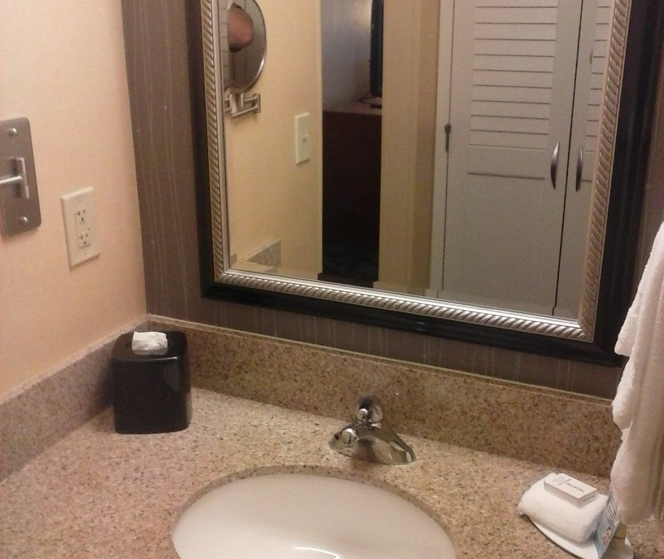 蓝道佛山新卡罗尔顿万怡酒店主图