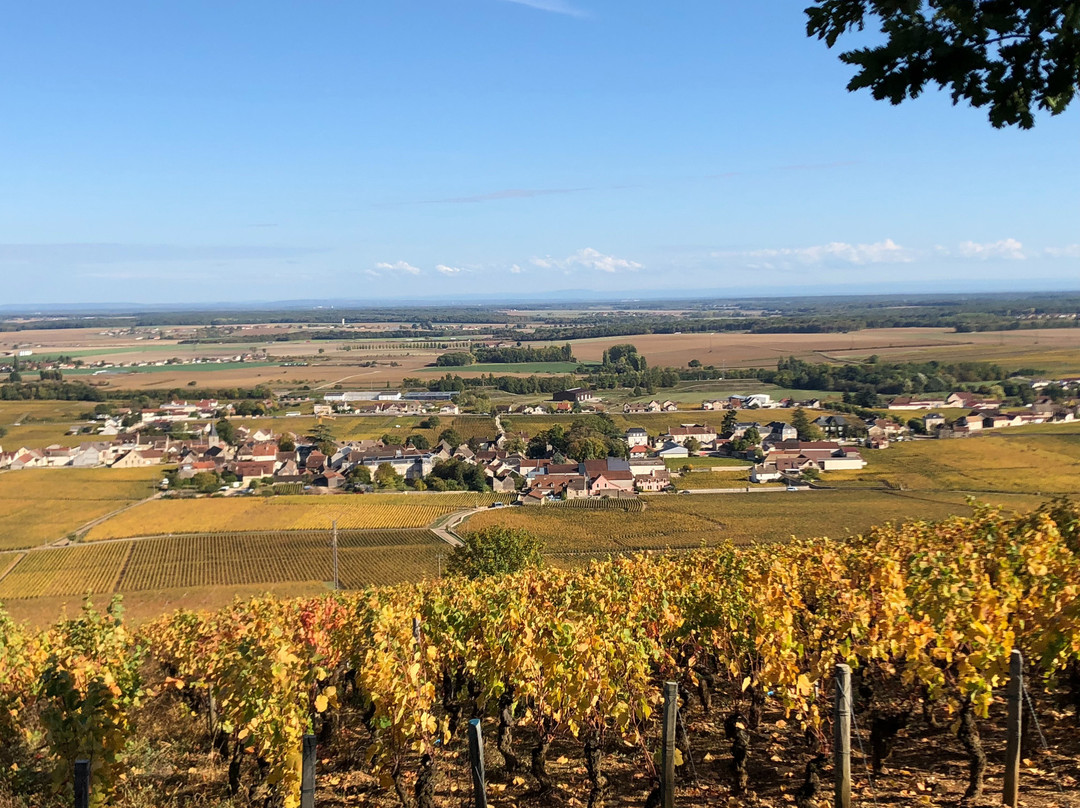 Bourgogne Gold Tour景点图片