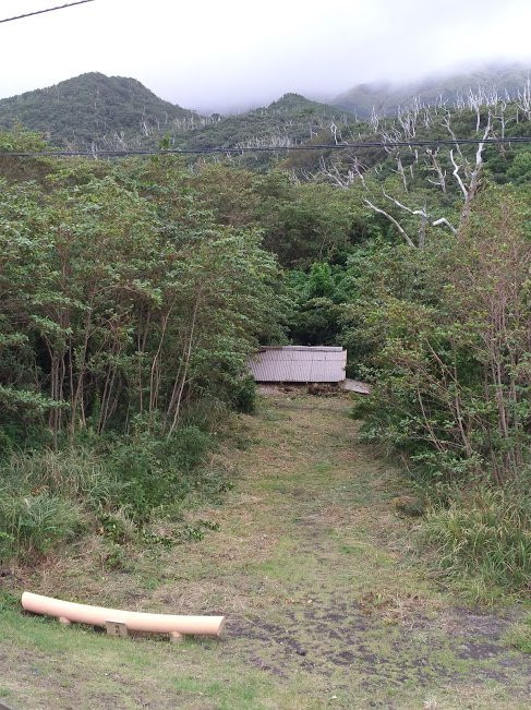 Shitori Shrine-三宅岛必去景点