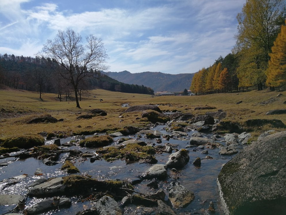 金山鹿苑-伊春市必去景点