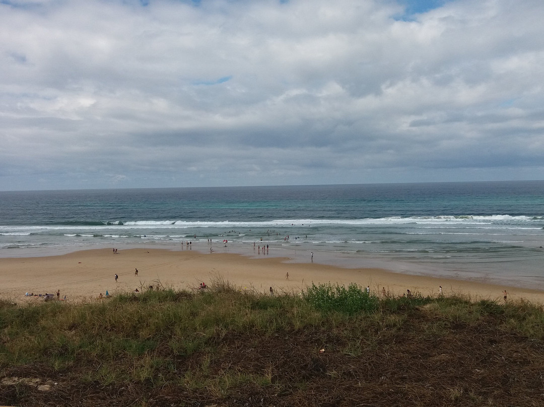 Le Fin Bistrot Hôtel - Restaurant - Bar主图