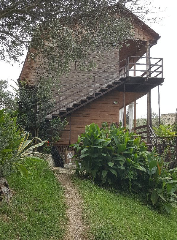 Villa Oliva