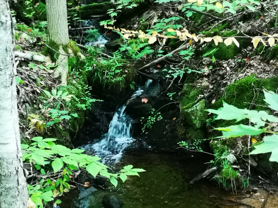 Brent Crater Trail-阿冈昆公园必去景点