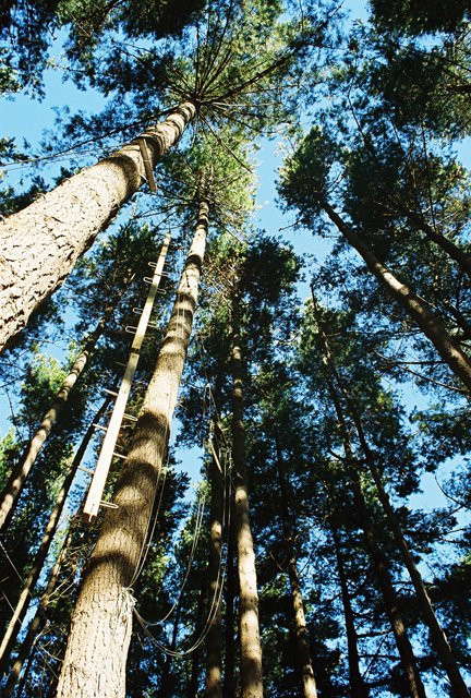 Waihōanga River Lodge And Retreat主图