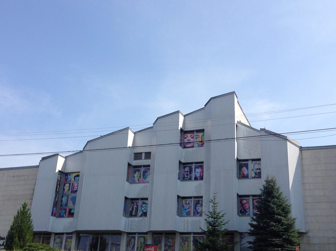 The Andy Warhol Museum of Modern Art-Medzilaborce必去景点