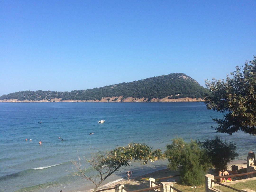 Dolphins House主图