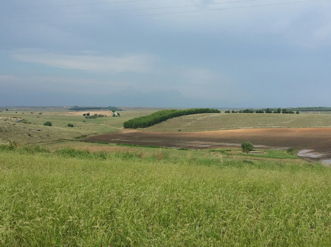 Parc national de l'Alta Murgia-Gravina in Puglia必去景点