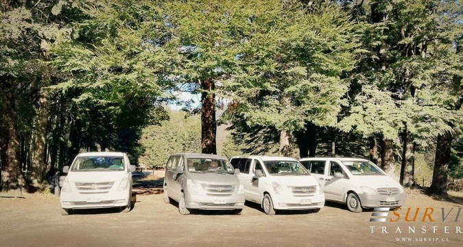 Survip Transfers-巴拉斯港必去景点