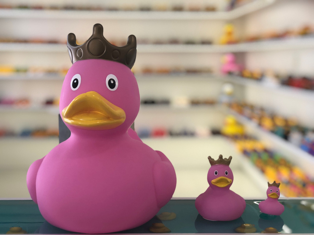 Limassol Duck Store-利马索尔必去景点