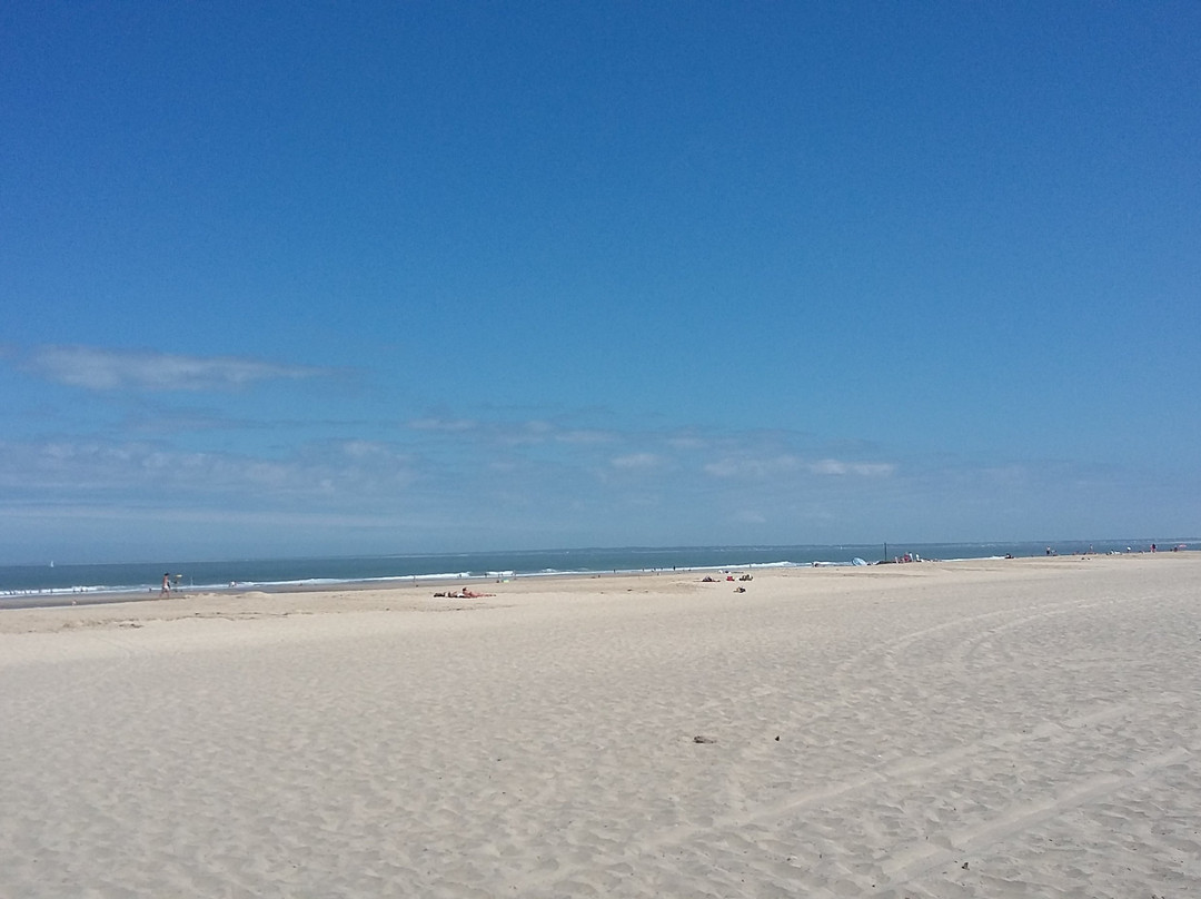 Plage De L'amélie景点图片