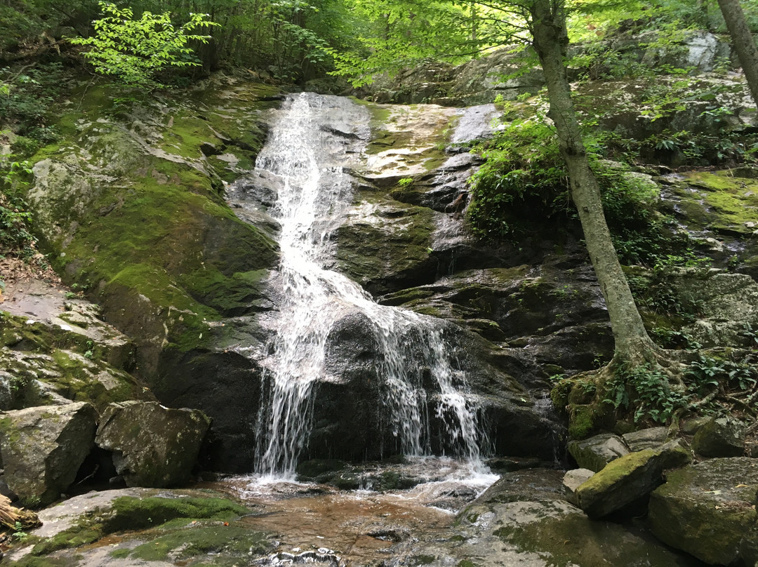 Wintergreen旅游攻略图片