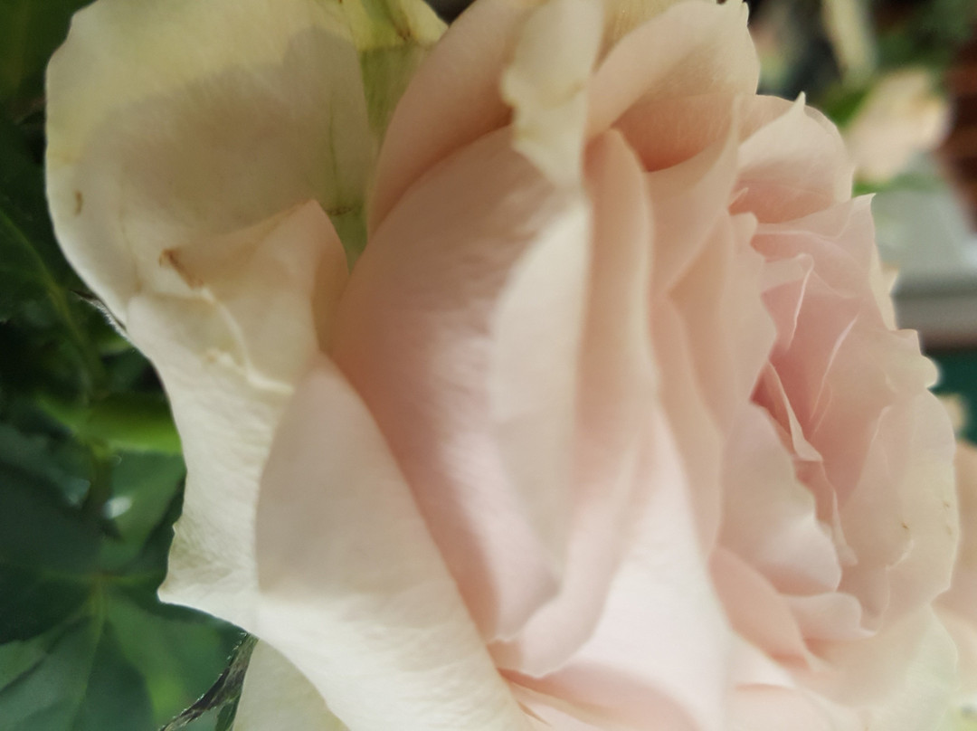 Hotel Umbria Ristorante - Orvieto主图