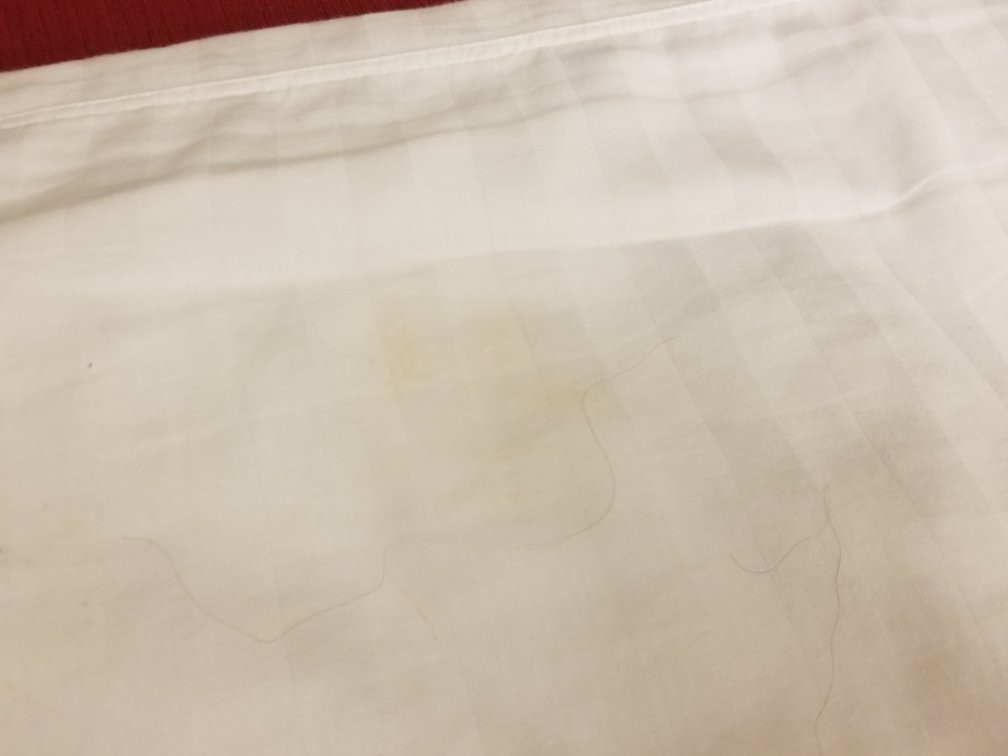 City Express By Marriott Rosarito主图