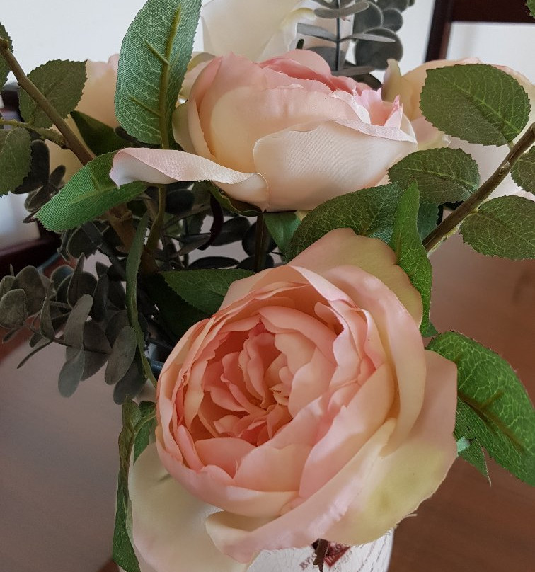 Mountain View Manor主图