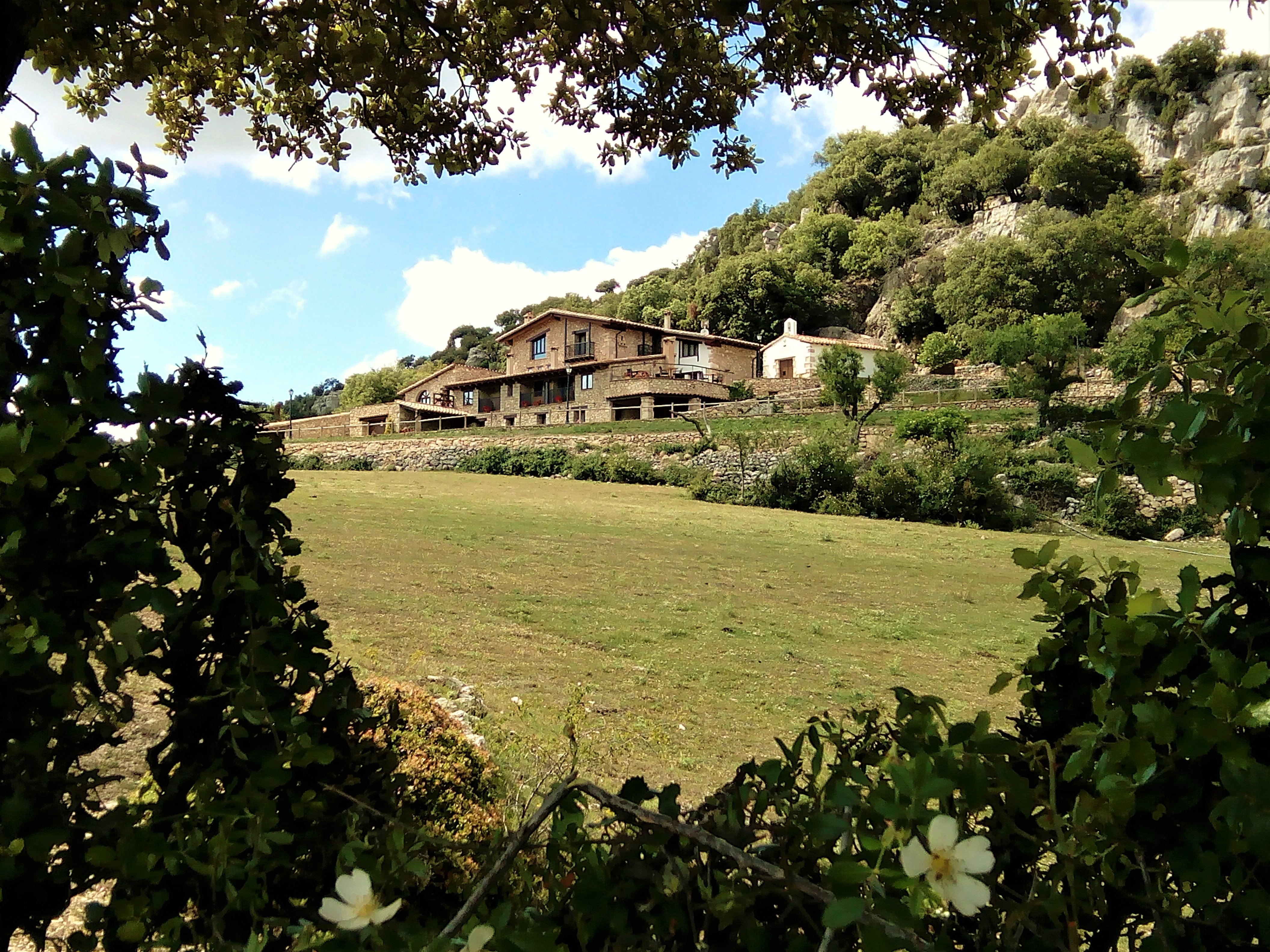 Font d'en Torres-官方