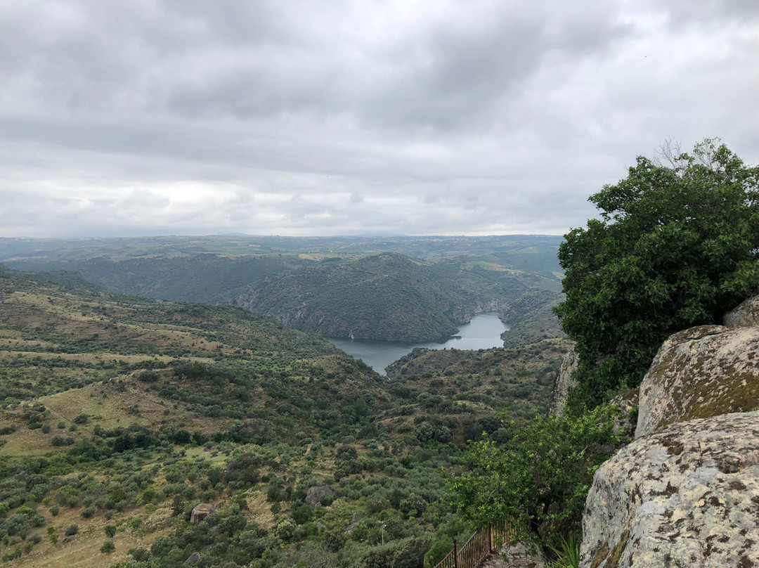 null-Fermoselle
