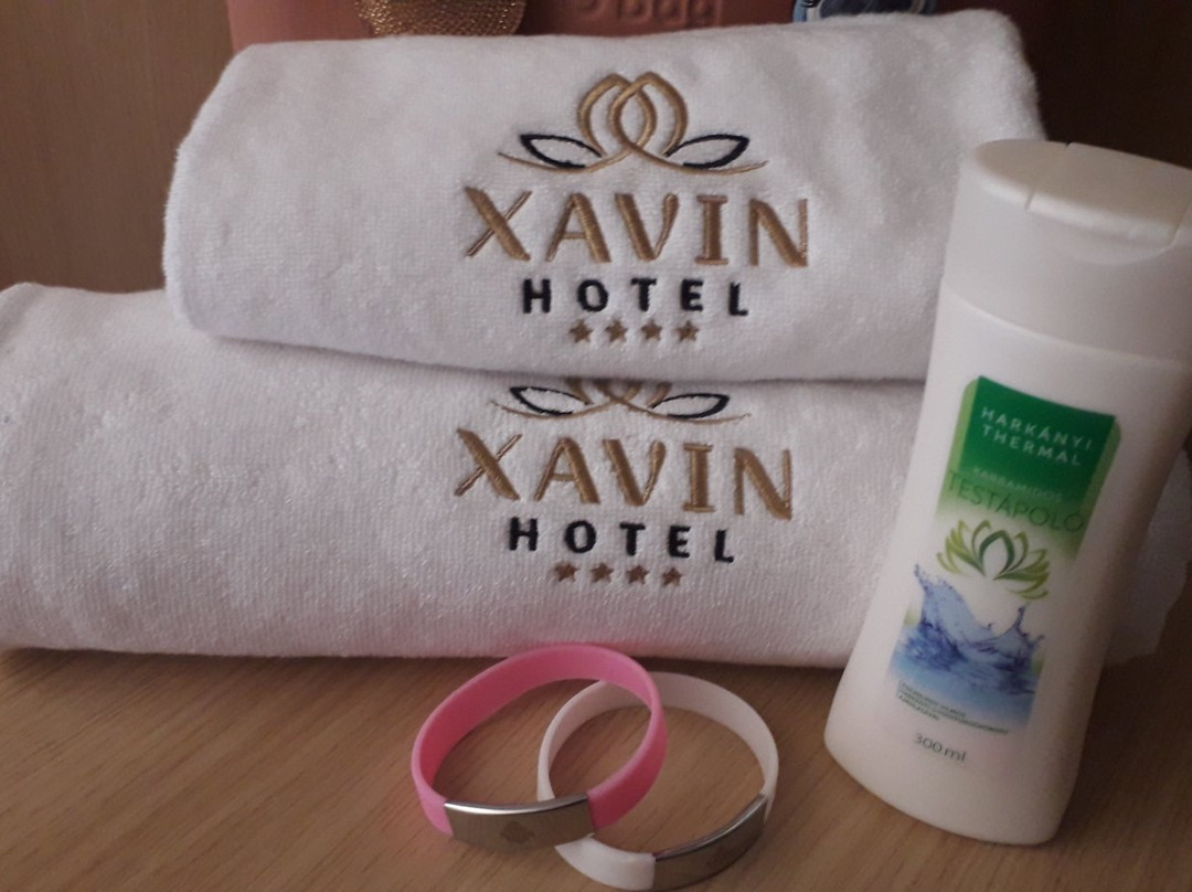 Hotel Xavin主图