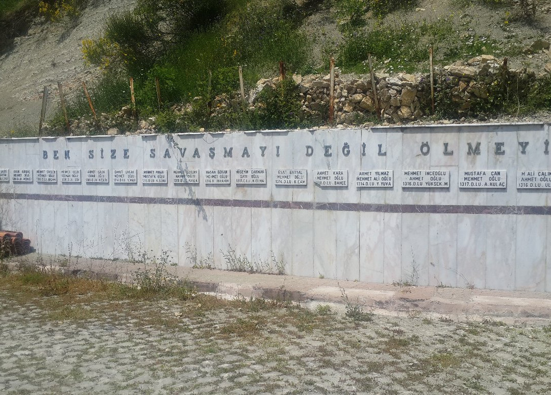 Bozkurt Sehitler Ve Gaziler Aniti-Kastamonu必去景点