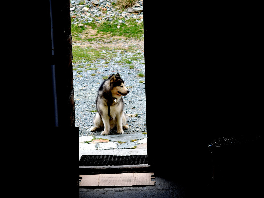Rifugio Ospizio Sottile主图