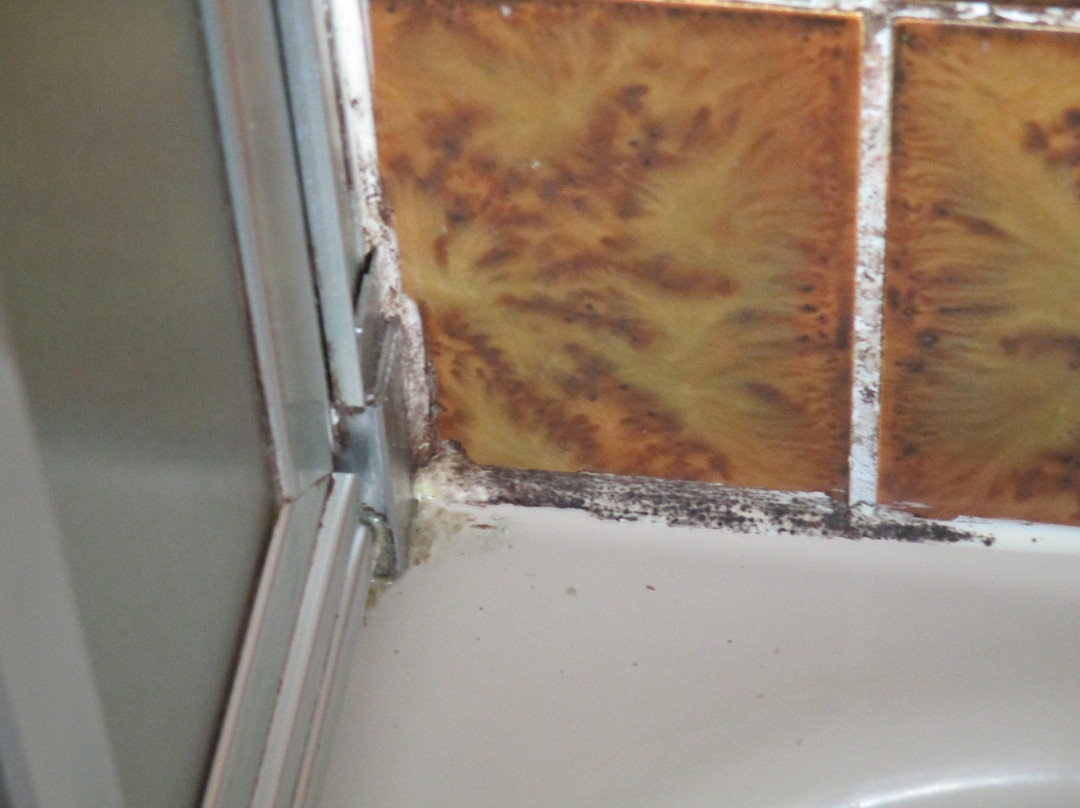 Pension Sonnhalde主图