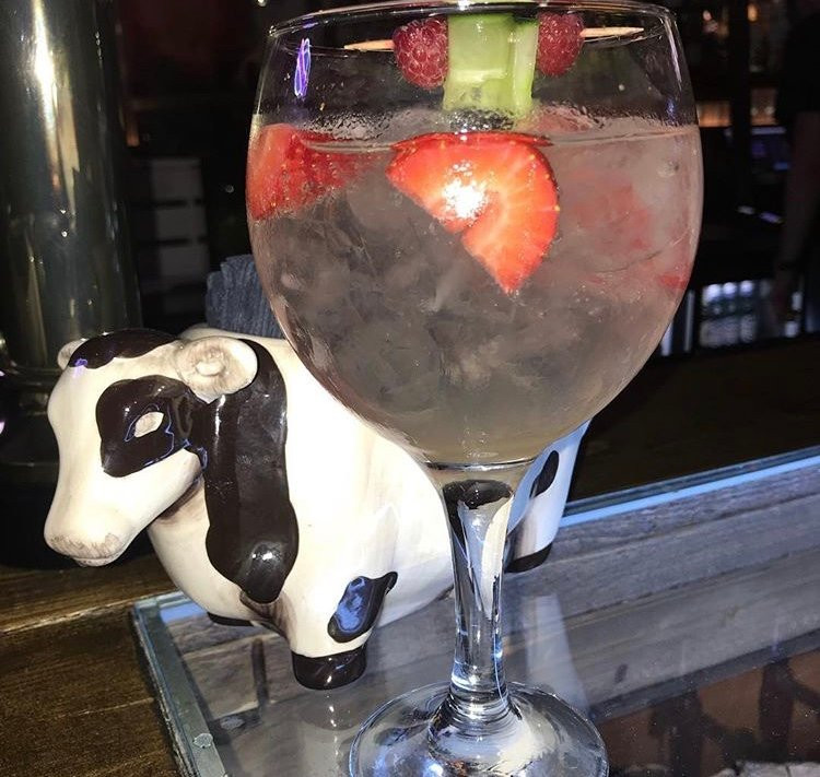 Tipsy Cow