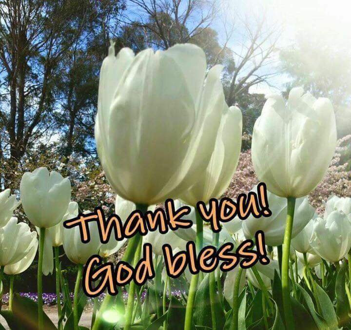 普利马维拉海滩度假村主图