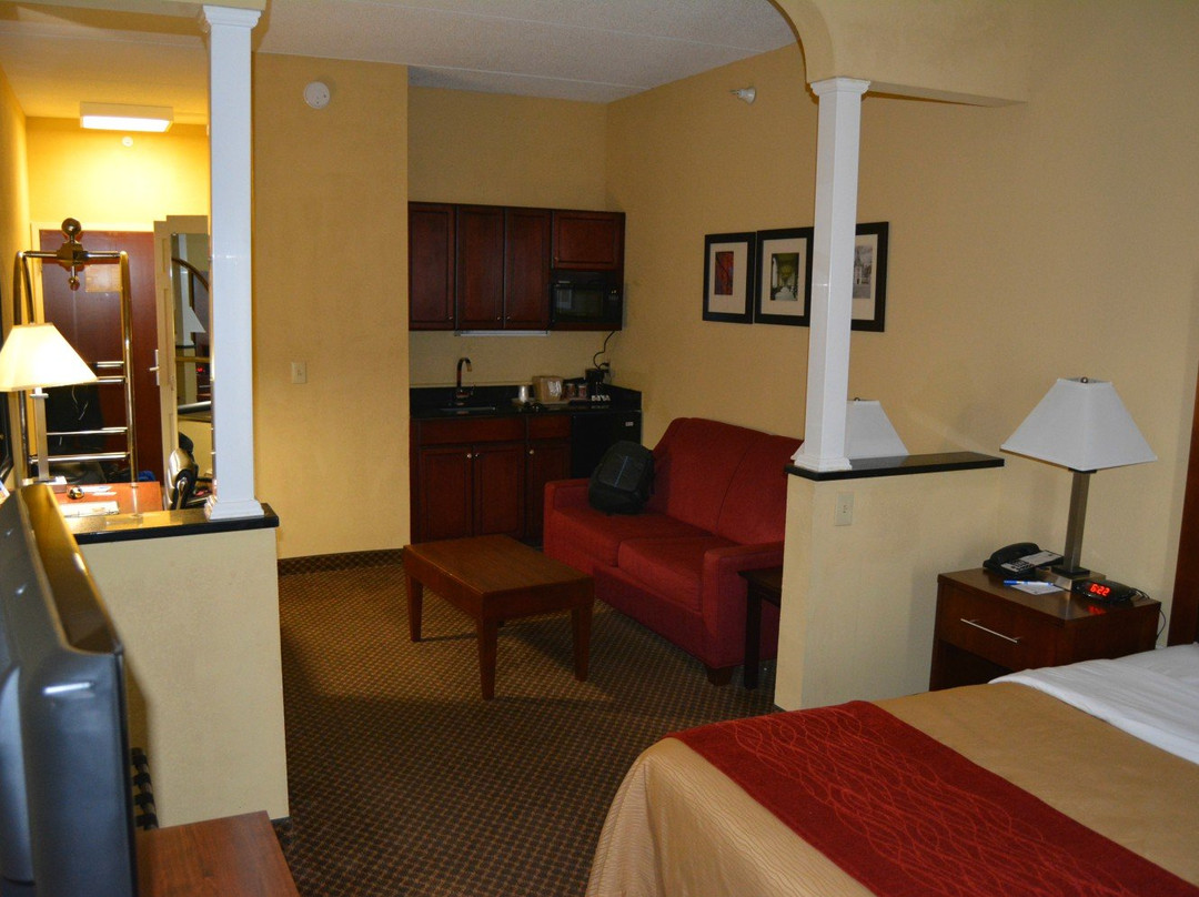 Comfort Inn & Suites主图