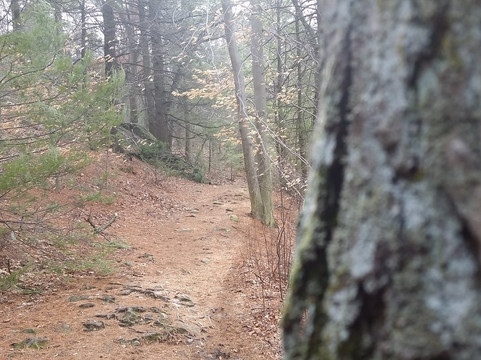 Breakheart Reservation-索格斯必去景点