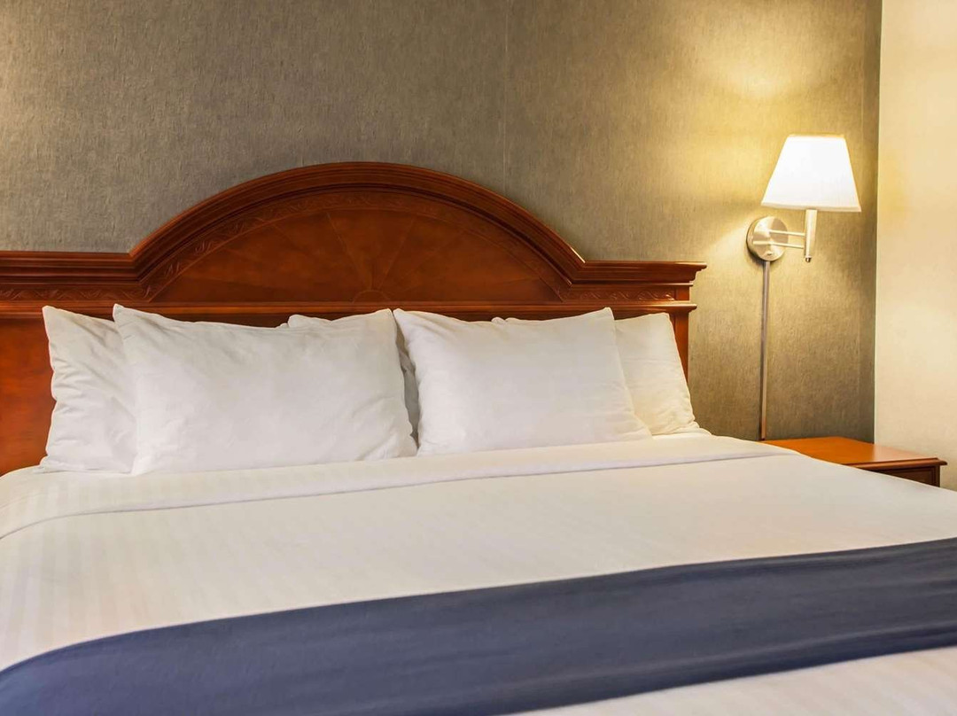 芝加哥圣查尔斯快捷假日酒店主图