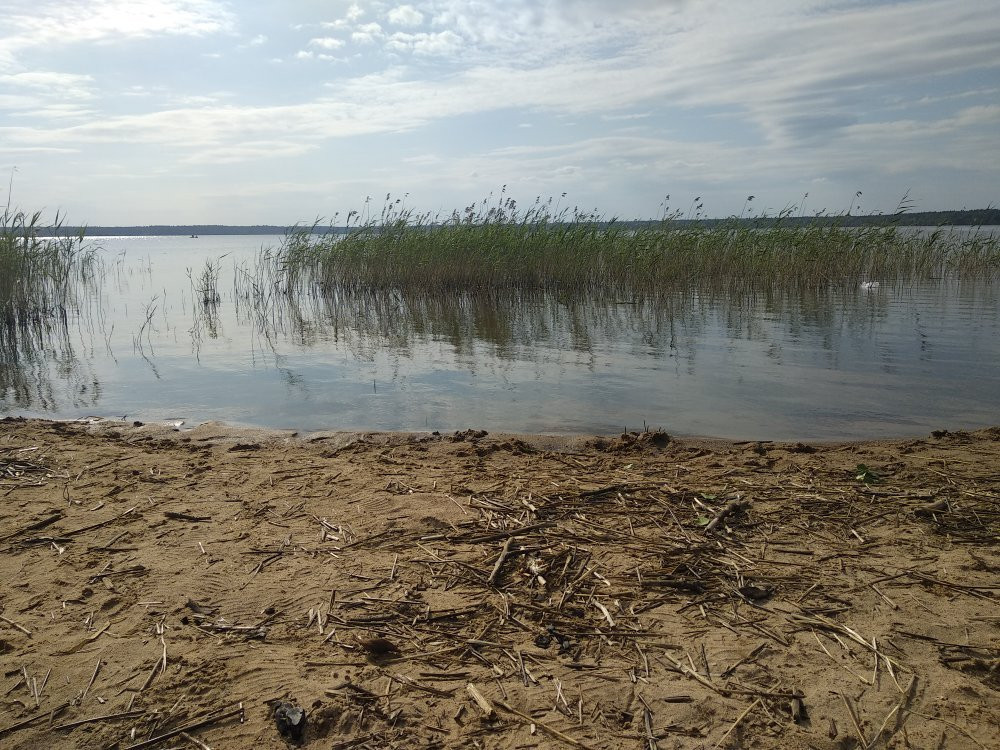 Kavgolovskoye Lake景点图片