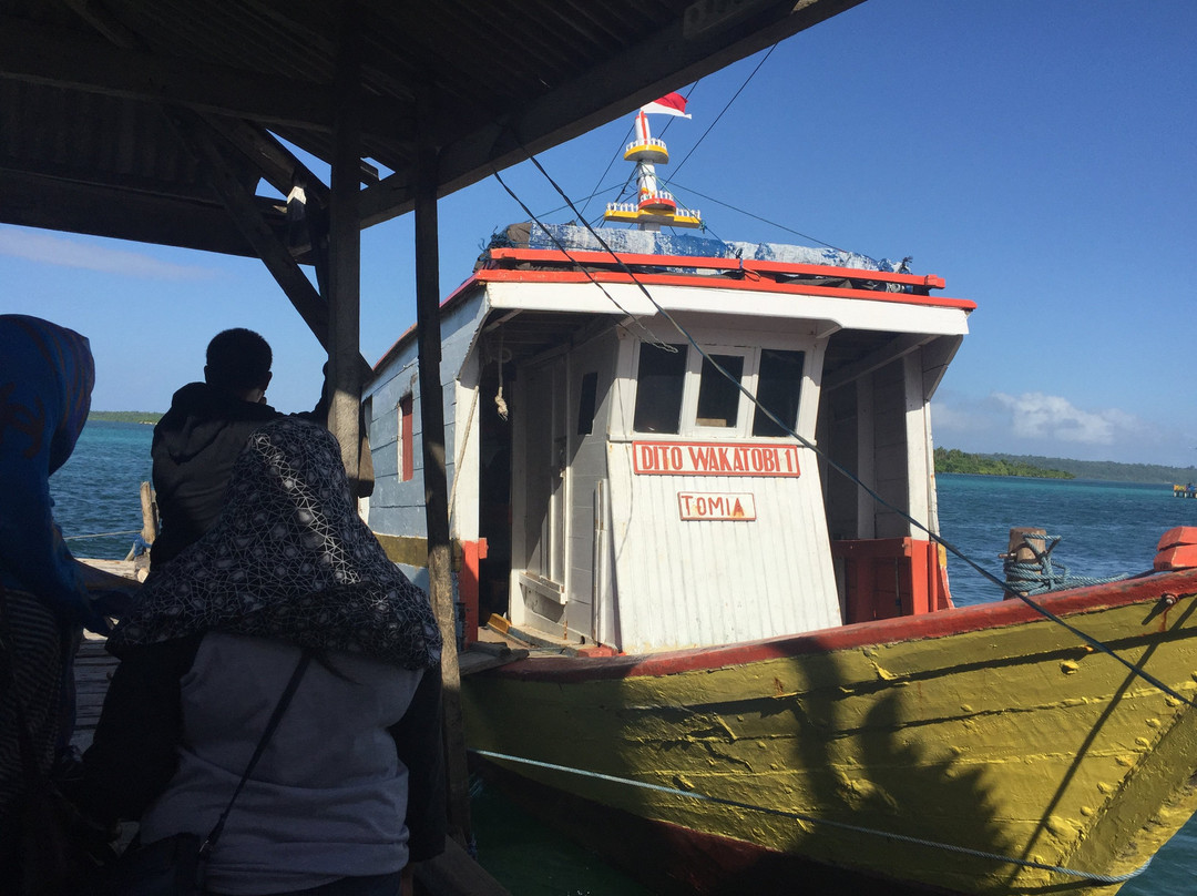Wakatobi National Park景点图片